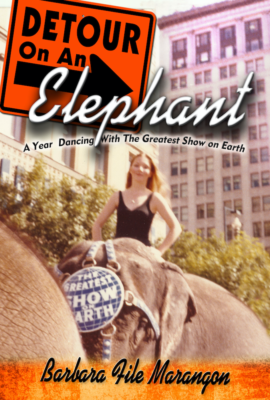 detour on an elephant